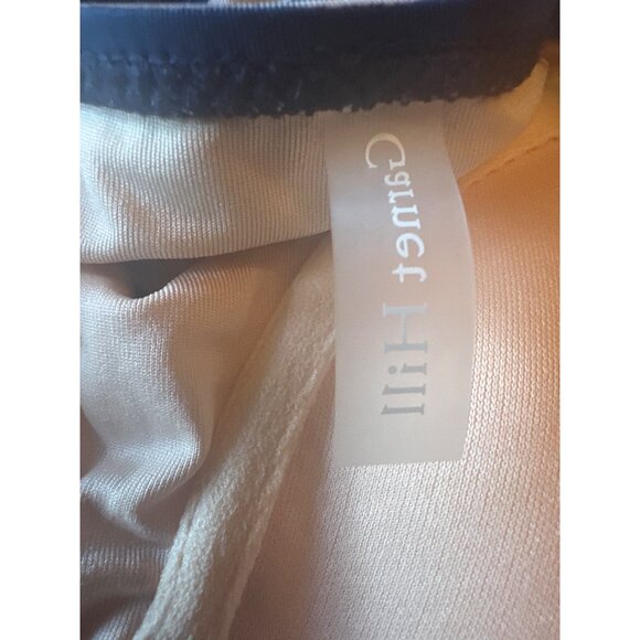 NWT Garnet Hill Womens Size 12 Blue & White Striped Swim Dress Modest Beach - Picture 4 of 7